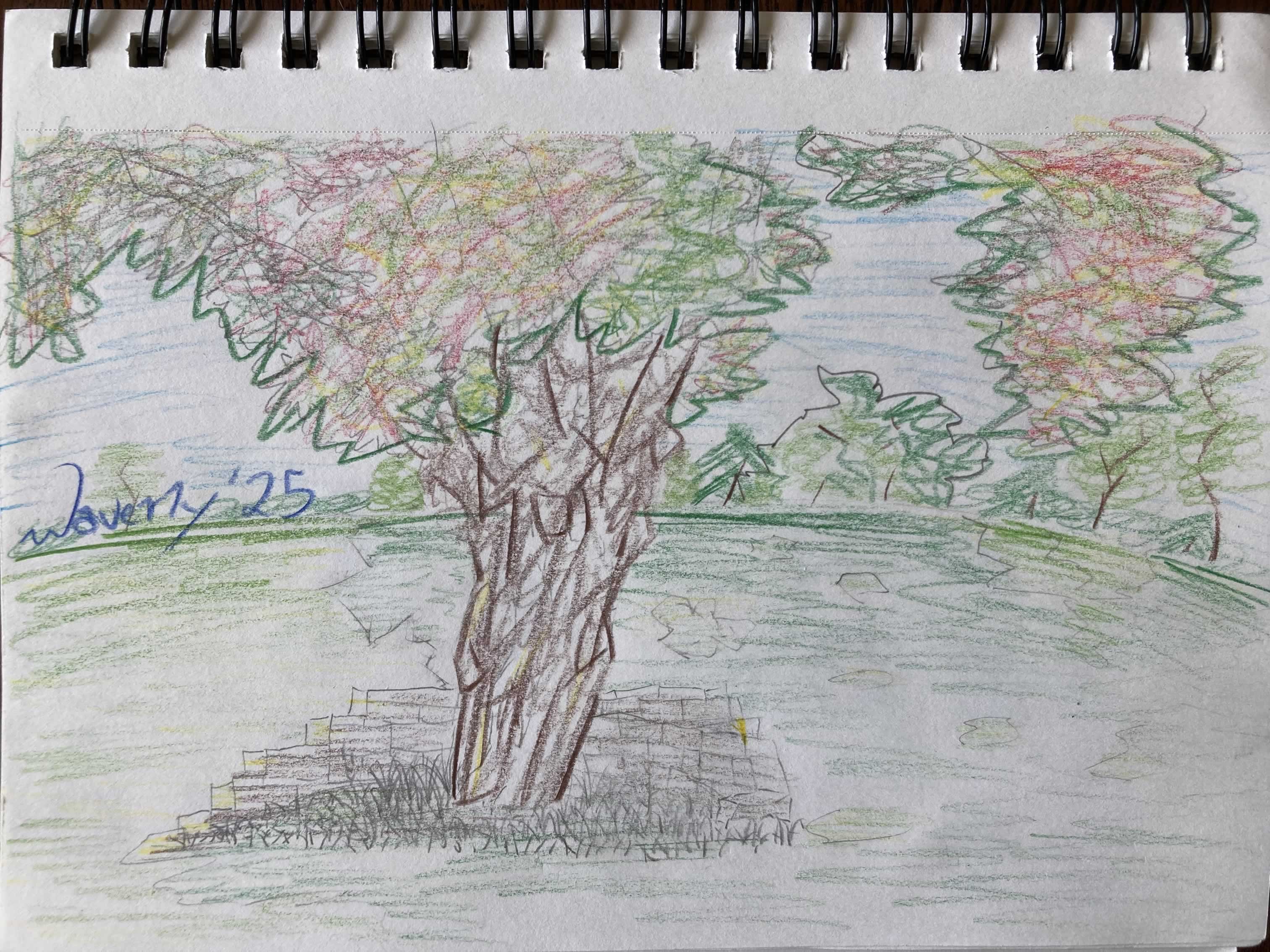 A drawing of a tree with a severely knotted trunk sitting on the side of a grassy hill, surrounded by a short stack of bricks on the side cutting into the hill. The leaves on the tree are a strange mix of red, brown, yellow, and green. A forest on the other side of the hill serves as the backdrop, with a light blue sky.