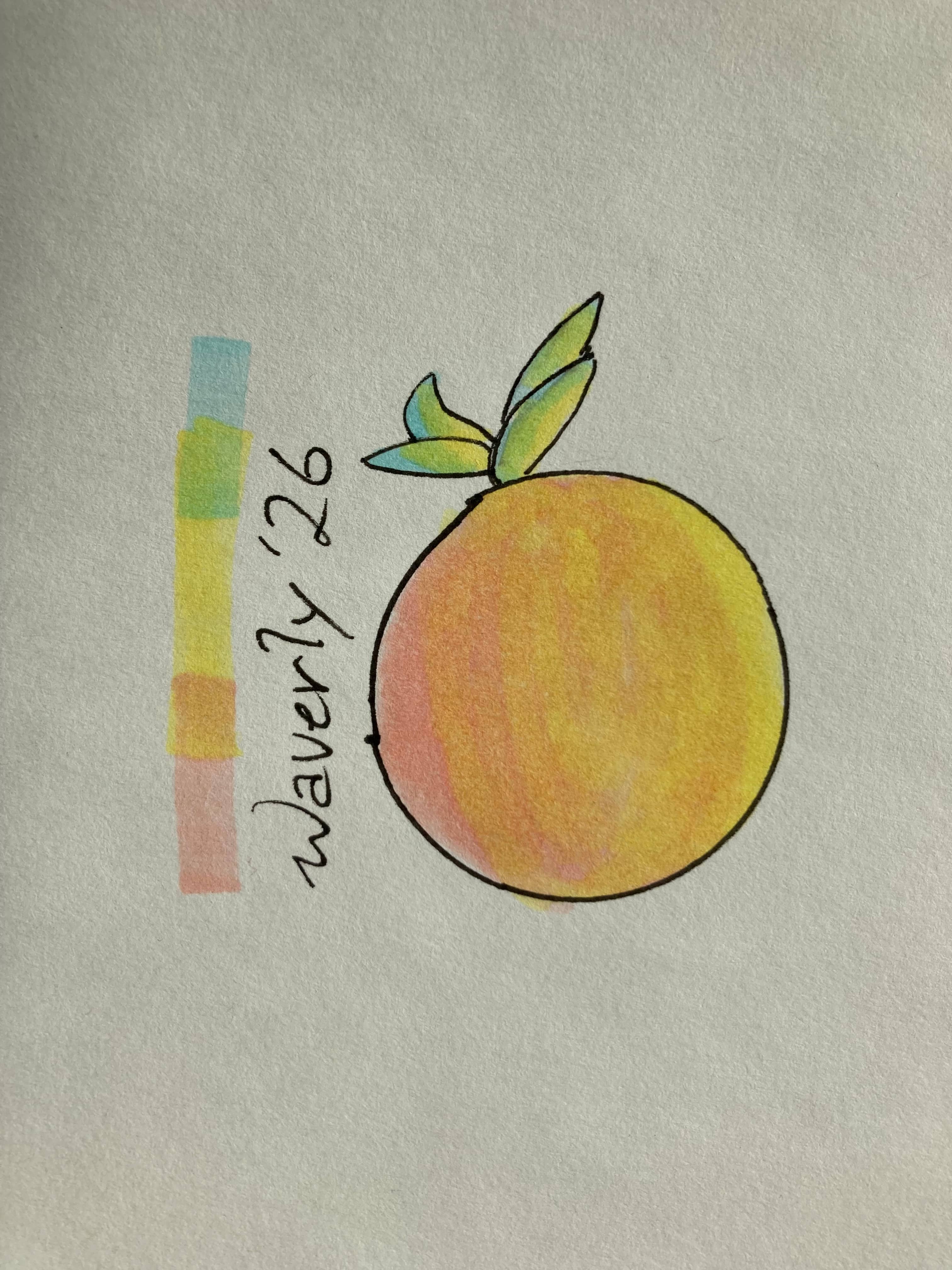 An ambiguous pink, orange, and yellow fruit, with leaves shaded in blue, green, and yellow.