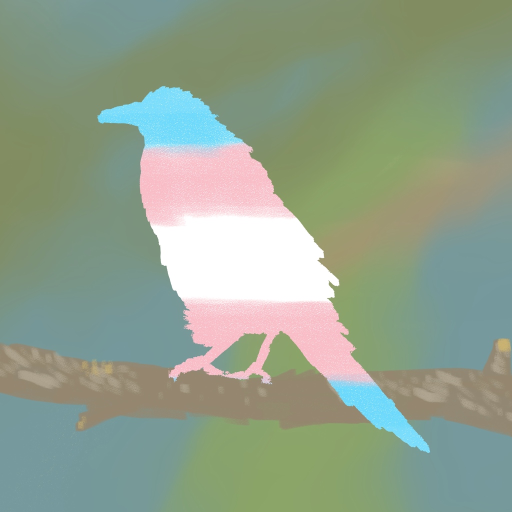 Profile Picture, drawing of a magpie.